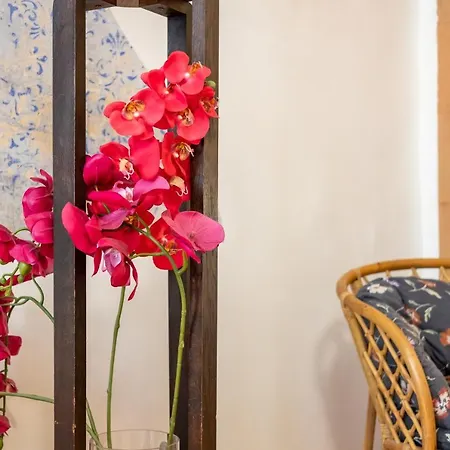 Apartmán Dream - Historic Old Town From 1364